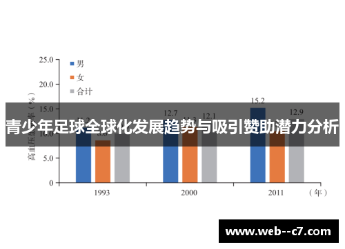 青少年足球全球化发展趋势与吸引赞助潜力分析