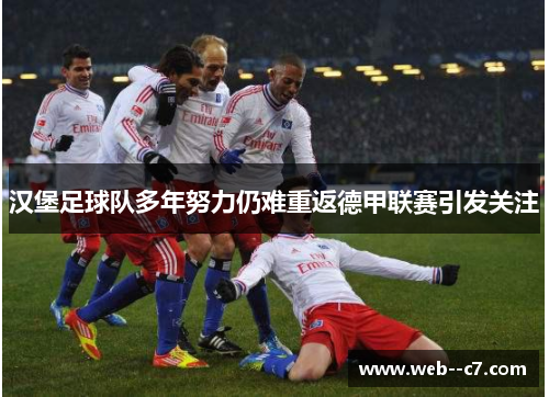 汉堡足球队多年努力仍难重返德甲联赛引发关注 汉堡足球队多年努力仍难重返德甲联赛引发关注